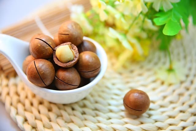 macadamia nuts, nuts, food, snack, healthy, protein, cracked, organic, natural, closeup, macadamia nuts, macadamia nuts, macadamia nuts, macadamia nuts, macadamia nuts, nuts, nuts