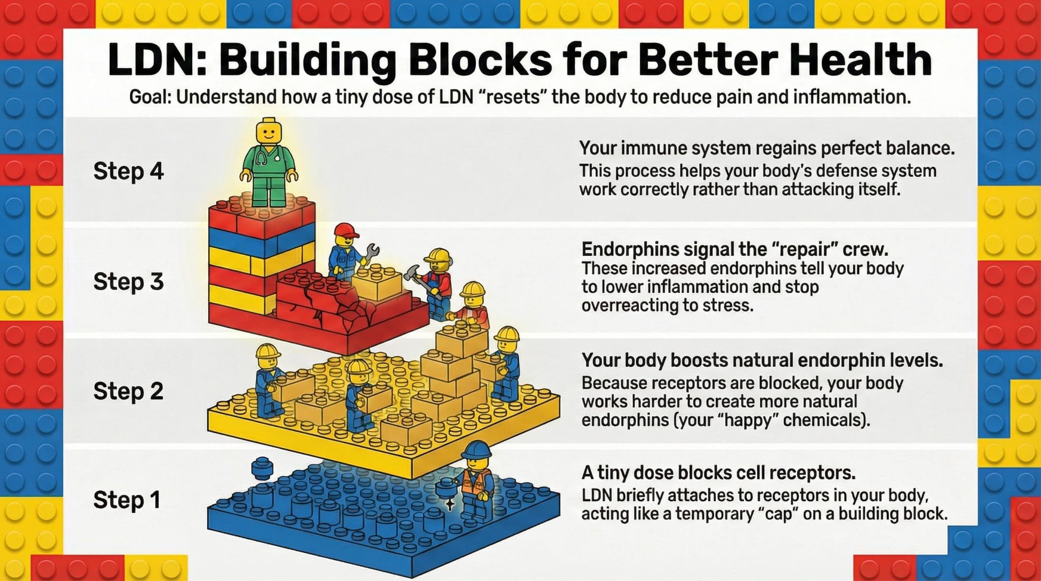 Low Dose Naltrexone Mechanism Explained: 4-Step Process | LifeWell MD Palm Beach Low dose naltrexone mechanism showing 4-step process from blocking receptors to restoring immune balance Palm Beach Florida